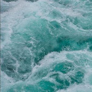 Meet your Posher, Hayley